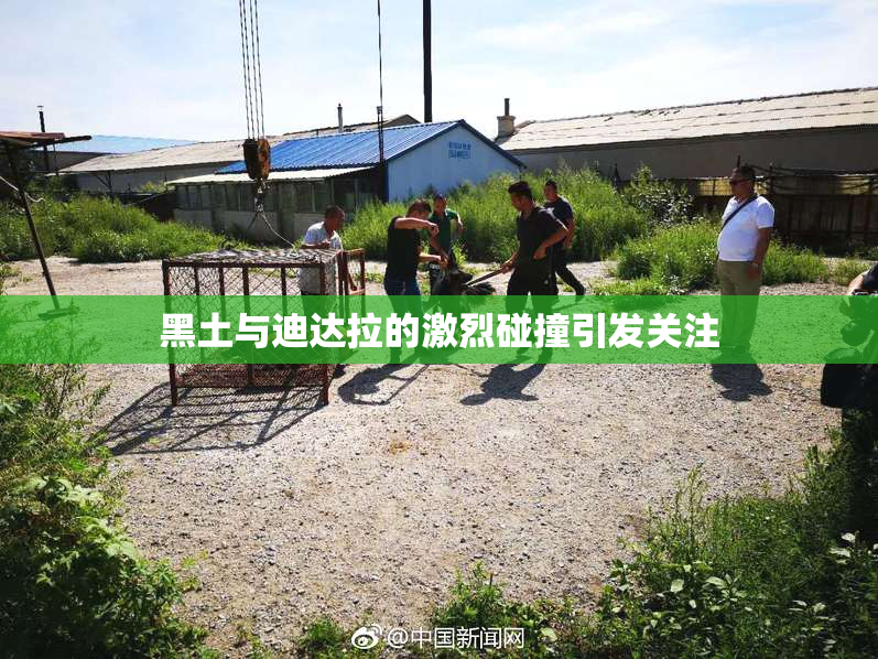 黑土与迪达拉的激烈碰撞引发关注