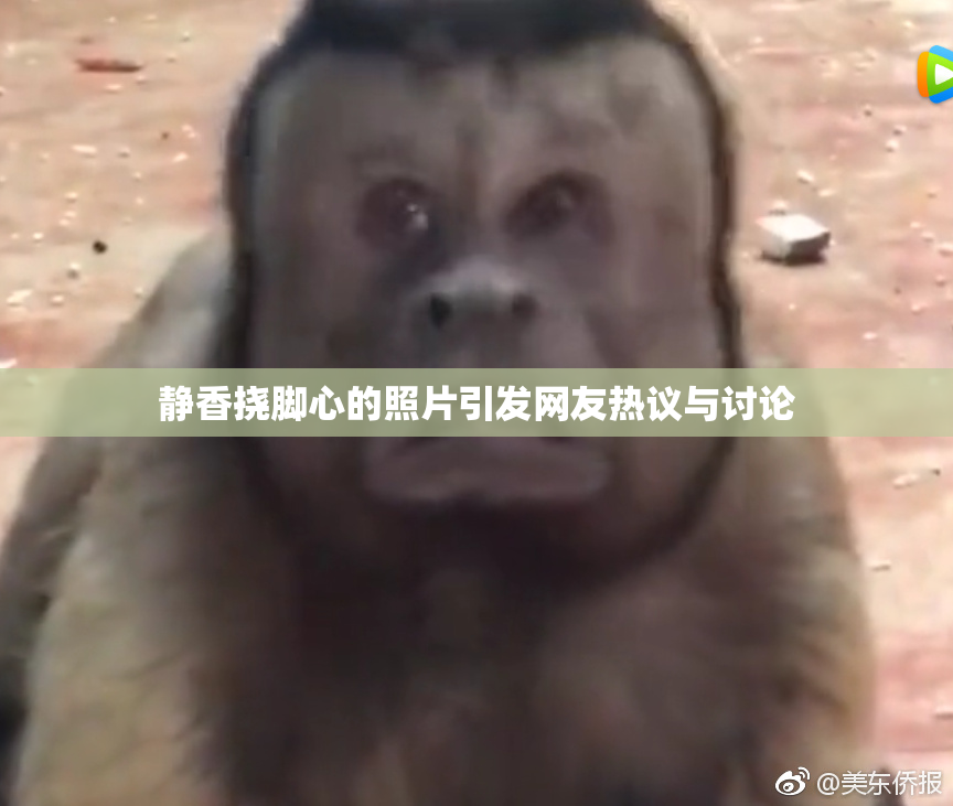 静香挠脚心的照片引发网友热议与讨论
