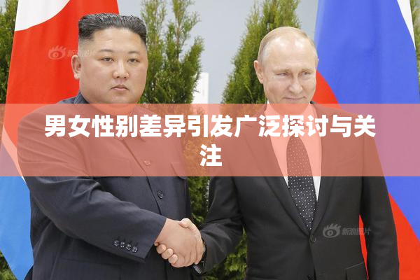男女性别差异引发广泛探讨与关注