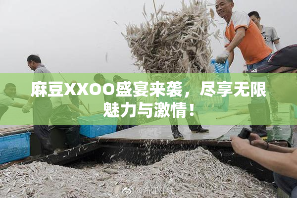 麻豆XXOO盛宴来袭，尽享无限魅力与激情！