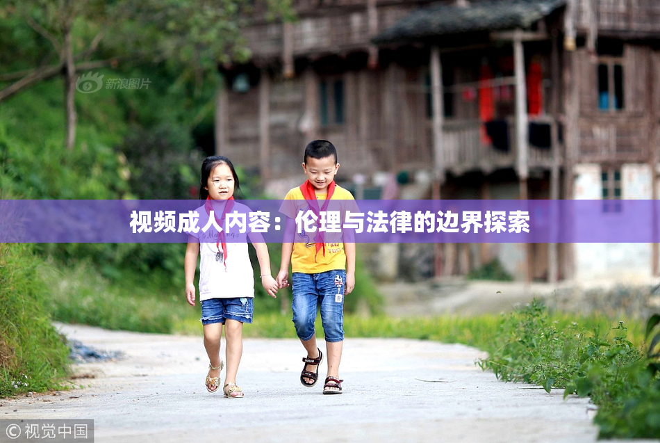 视频成人内容：伦理与法律的边界探索