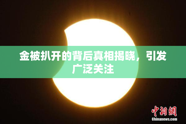 金被扒开的背后真相揭晓，引发广泛关注
