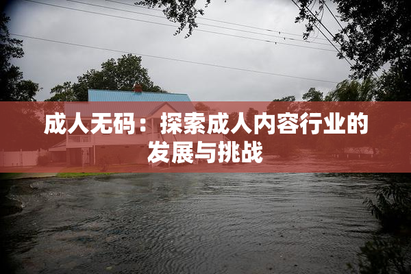成人无码：探索成人内容行业的发展与挑战