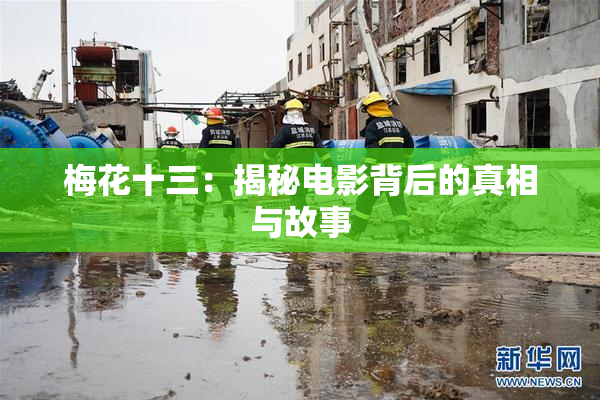 梅花十三：揭秘电影背后的真相与故事