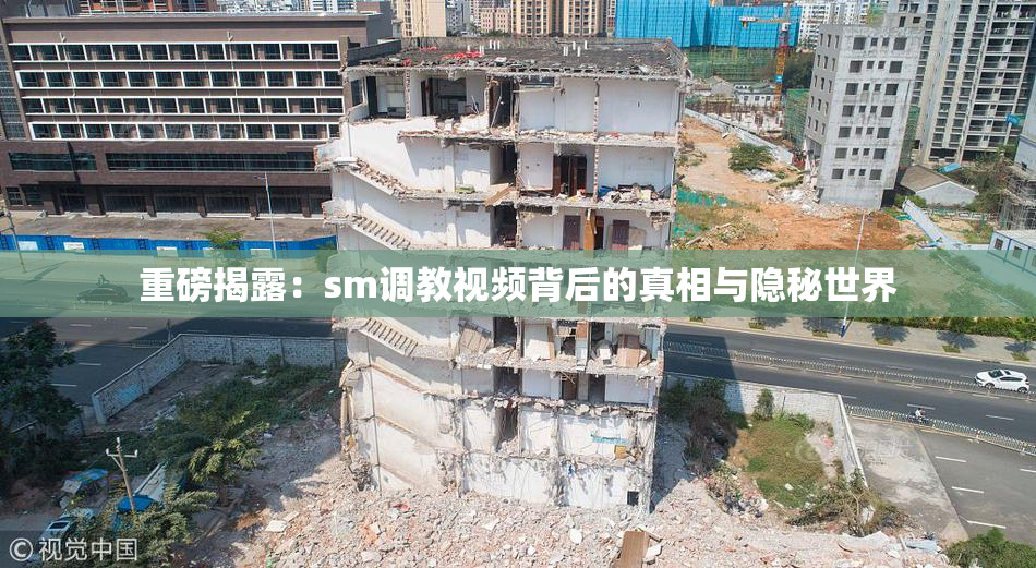 重磅揭露：sm调教视频背后的真相与隐秘世界