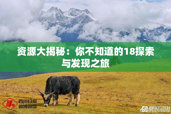 资源大揭秘：你不知道的18探索与发现之旅