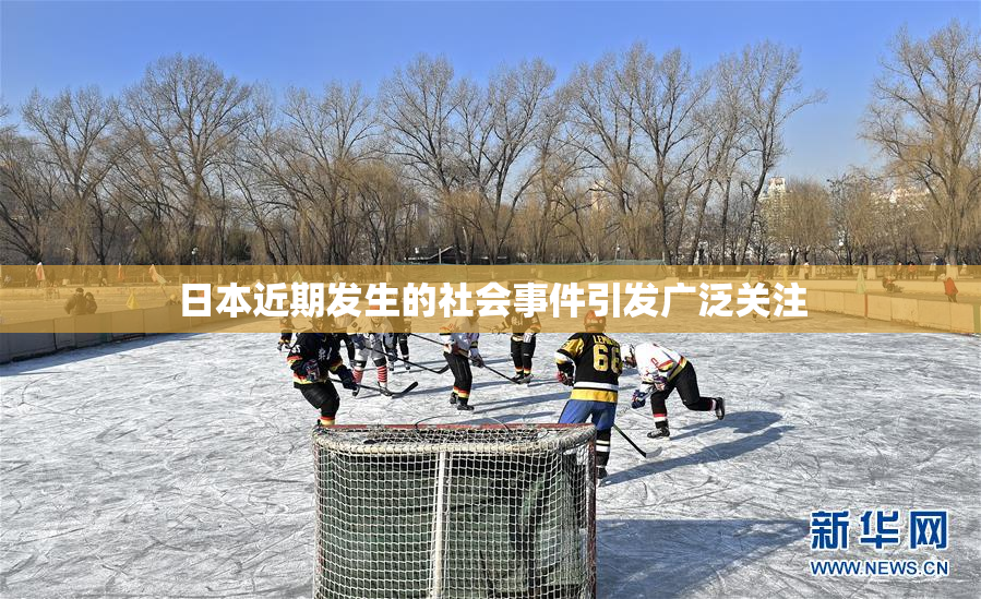 日本近期发生的社会事件引发广泛关注