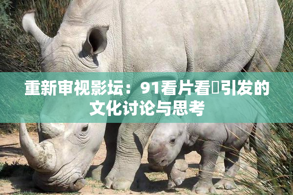 重新审视影坛：91看片看婬引发的文化讨论与思考
