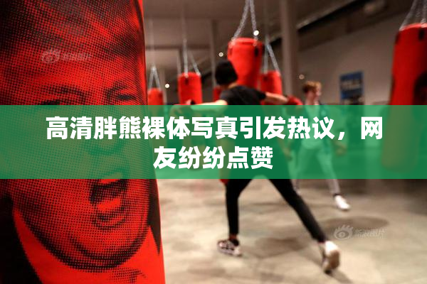 高清胖熊裸体写真引发热议，网友纷纷点赞