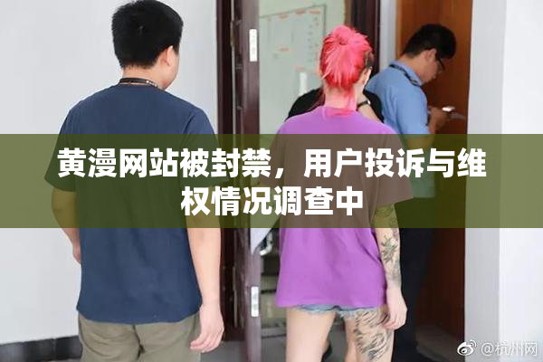 黄漫网站被封禁，用户投诉与维权情况调查中