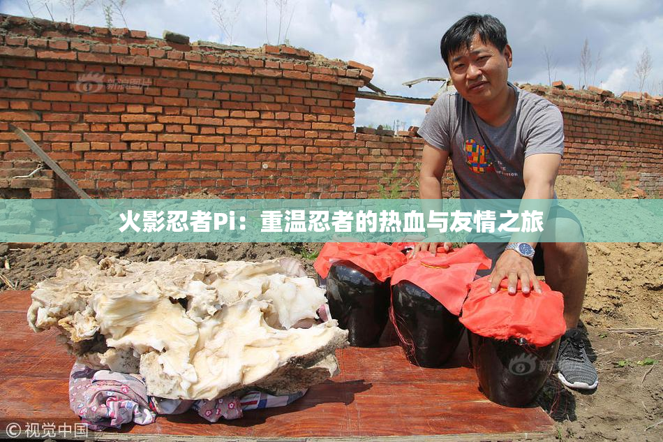 火影忍者Pi：重温忍者的热血与友情之旅