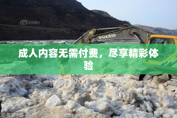 成人内容无需付费，尽享精彩体验