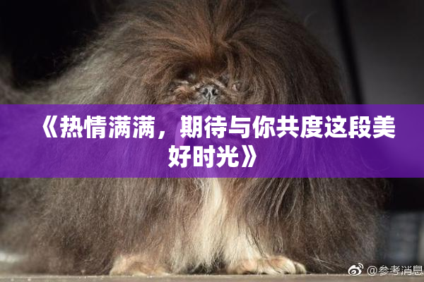 《热情满满，期待与你共度这段美好时光》