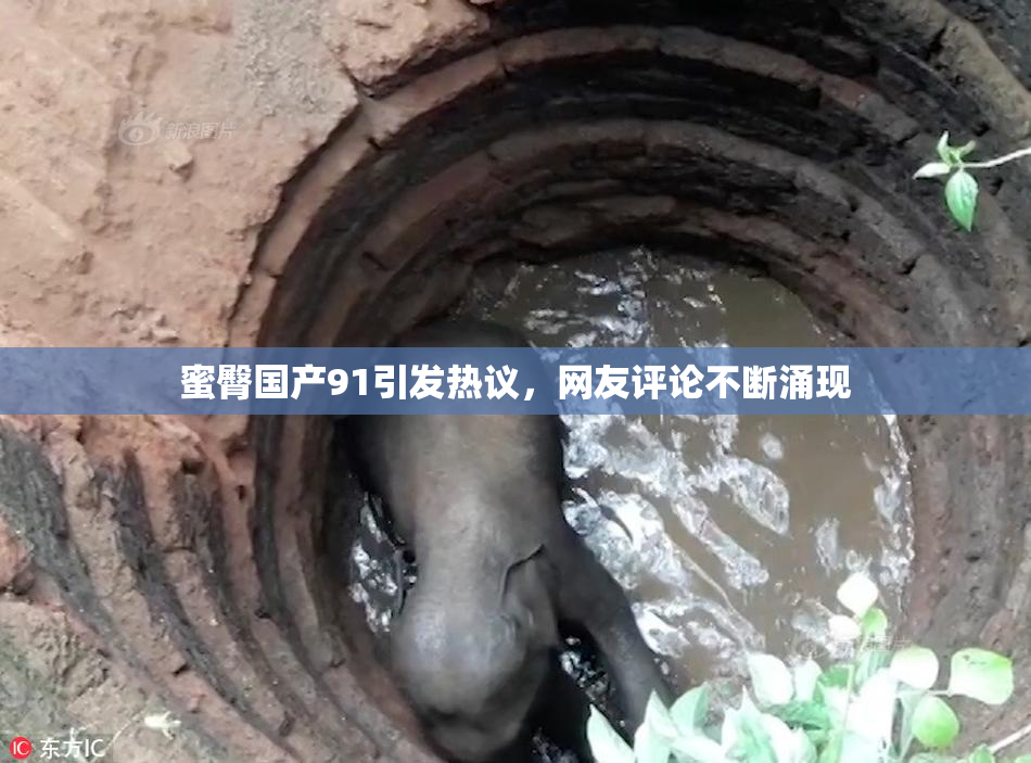 蜜臀国产91引发热议，网友评论不断涌现