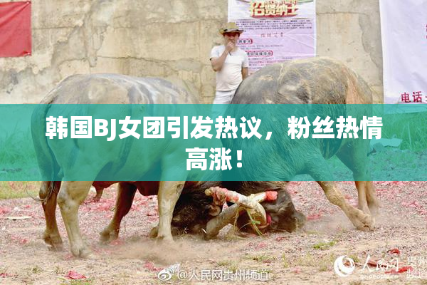 韩国BJ女团引发热议，粉丝热情高涨！