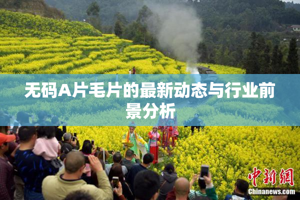无码A片毛片的最新动态与行业前景分析