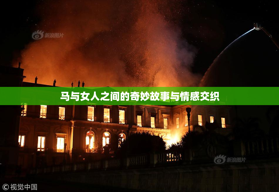 马与女人之间的奇妙故事与情感交织