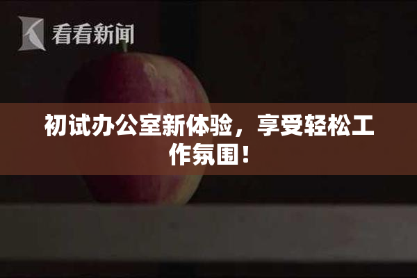 初试办公室新体验，享受轻松工作氛围！