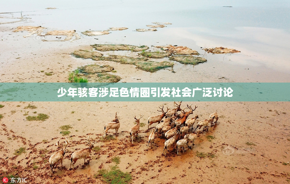 少年骇客涉足色情圈引发社会广泛讨论