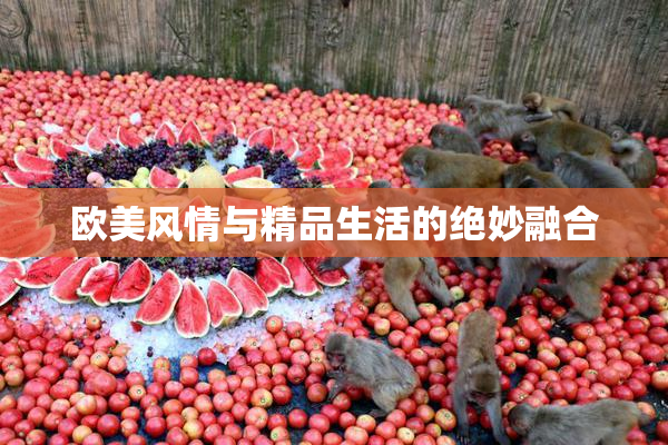 欧美风情与精品生活的绝妙融合