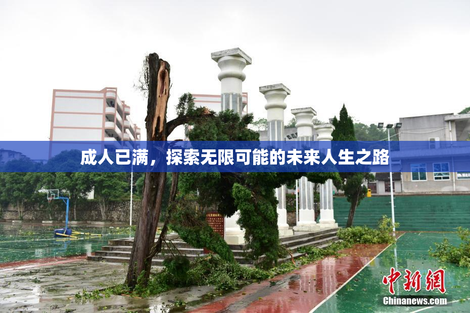 成人已满，探索无限可能的未来人生之路