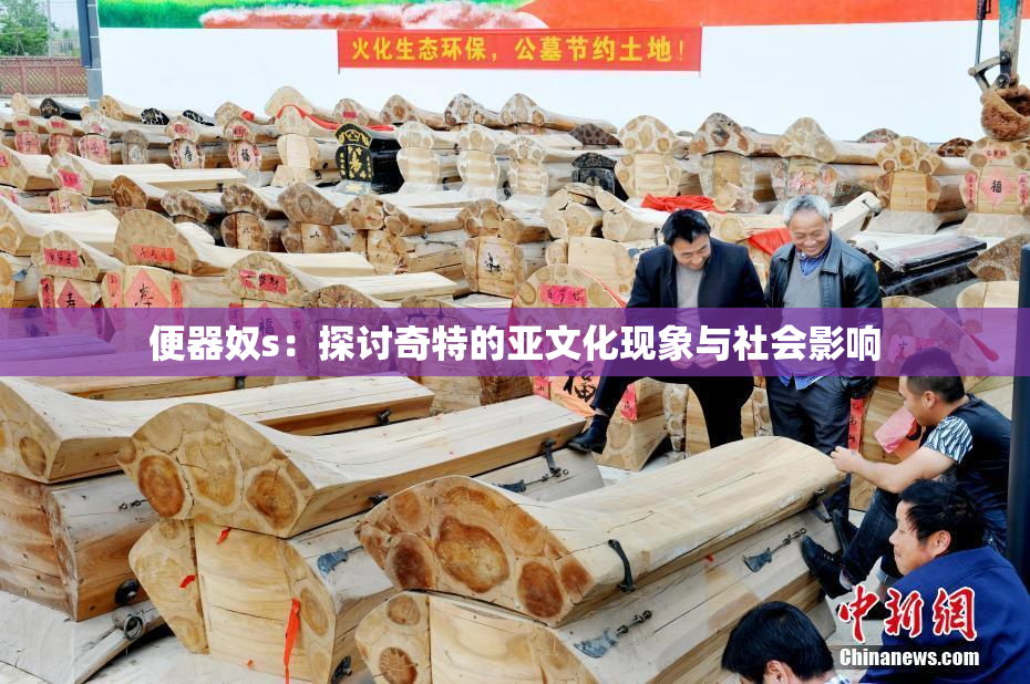 便器奴s：探讨奇特的亚文化现象与社会影响