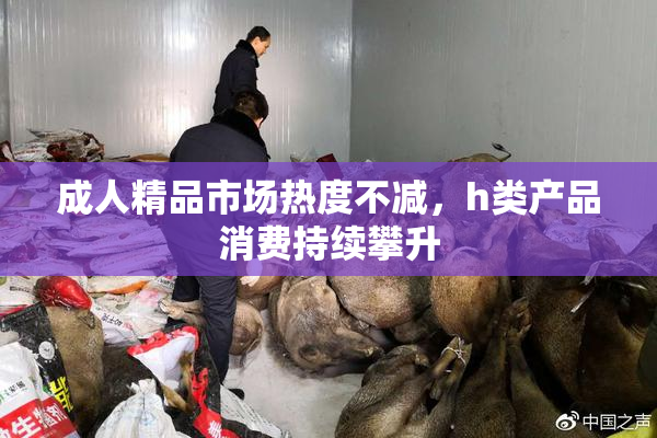 成人精品市场热度不减，h类产品消费持续攀升