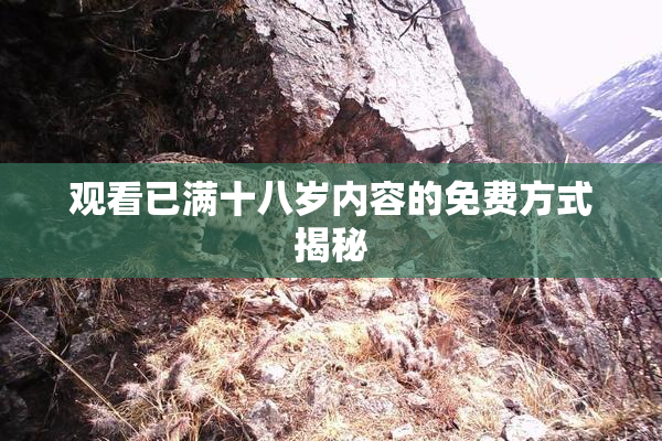 观看已满十八岁内容的免费方式揭秘