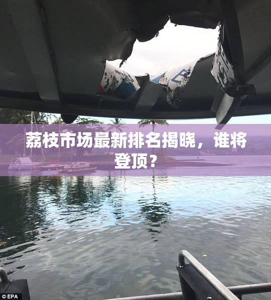 荔枝市场最新排名揭晓，谁将登顶？