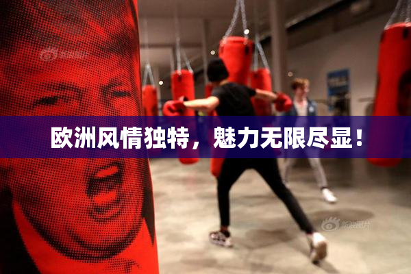 欧洲风情独特，魅力无限尽显！