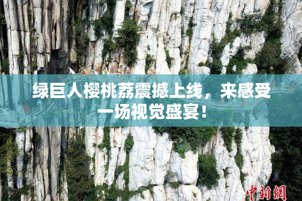 绿巨人樱桃荔震撼上线，来感受一场视觉盛宴！