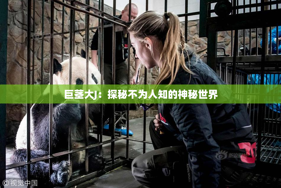 巨茎大J：探秘不为人知的神秘世界