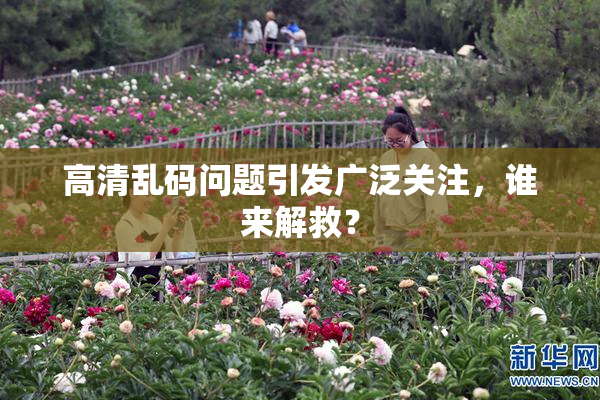 高清乱码问题引发广泛关注，谁来解救？