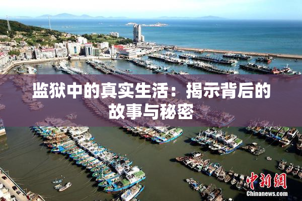 监狱中的真实生活：揭示背后的故事与秘密