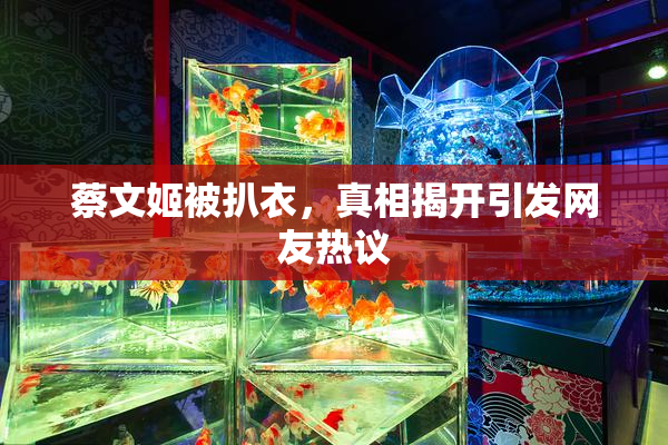 蔡文姬被扒衣，真相揭开引发网友热议