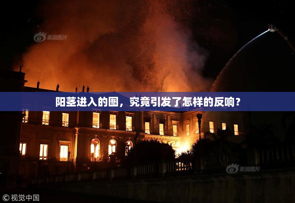 阳茎进入的图，究竟引发了怎样的反响？