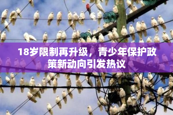 18岁限制再升级，青少年保护政策新动向引发热议