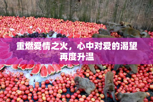 重燃爱情之火，心中对爱的渴望再度升温