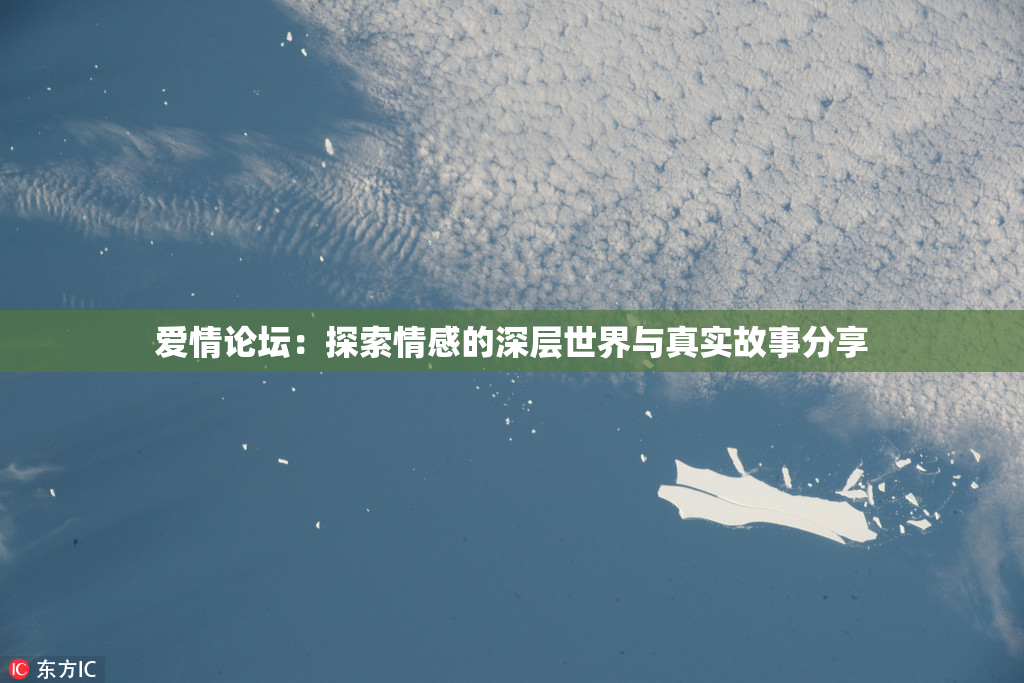 爱情论坛：探索情感的深层世界与真实故事分享