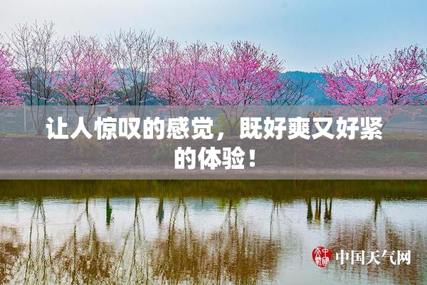 让人惊叹的感觉，既好爽又好紧的体验！
