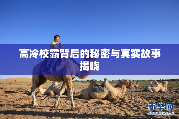 高冷校霸背后的秘密与真实故事揭晓