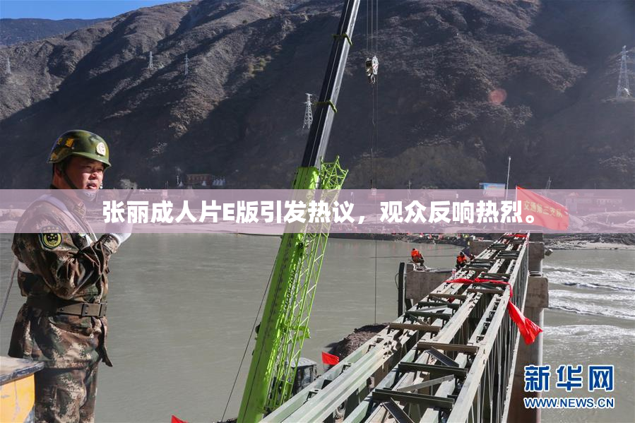 张丽成人片E版引发热议，观众反响热烈。