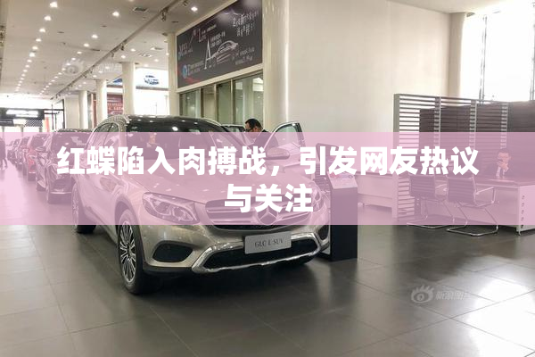 红蝶陷入肉搏战，引发网友热议与关注