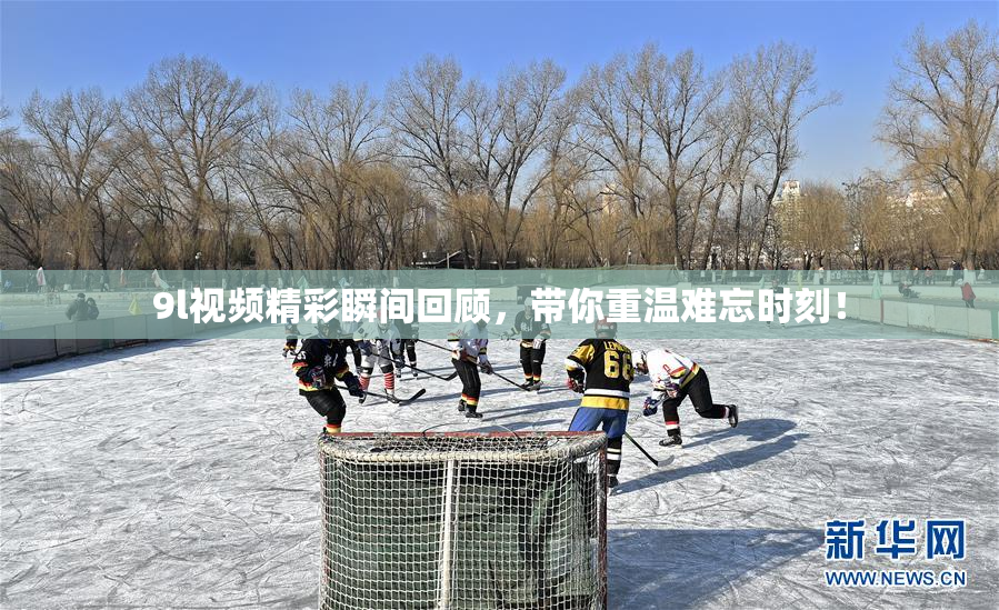 9l视频精彩瞬间回顾，带你重温难忘时刻！