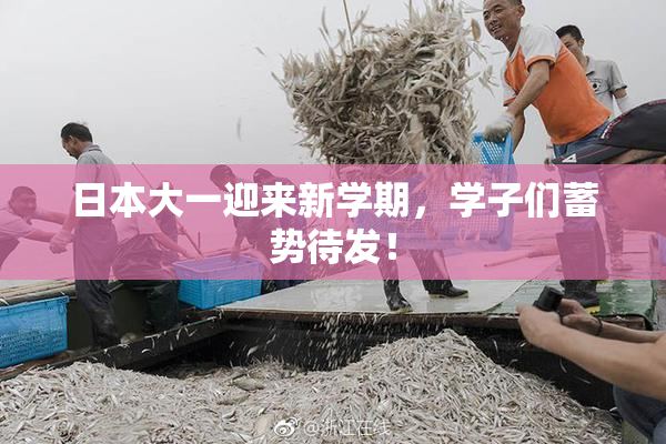 日本大一迎来新学期，学子们蓄势待发！