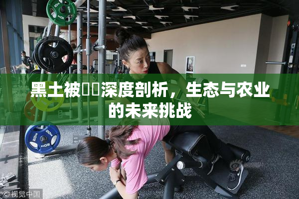 黑土被❌‌深度剖析，生态与农业的未来挑战