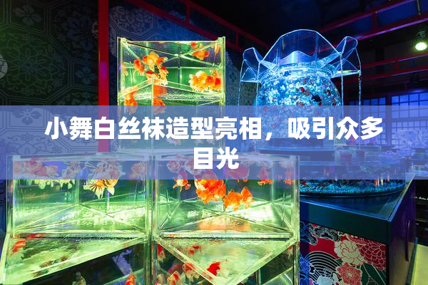 小舞白丝袜造型亮相，吸引众多目光