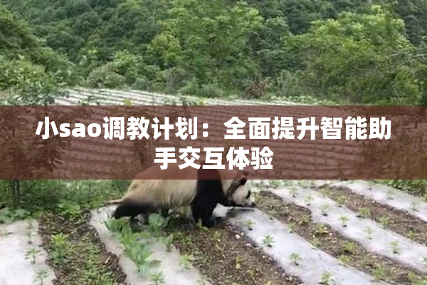 小sao调教计划：全面提升智能助手交互体验