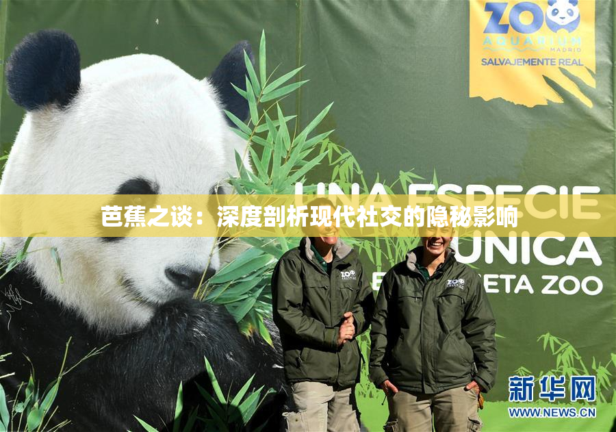 芭蕉之谈：深度剖析现代社交的隐秘影响