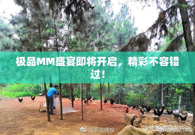 极品MM盛宴即将开启，精彩不容错过！